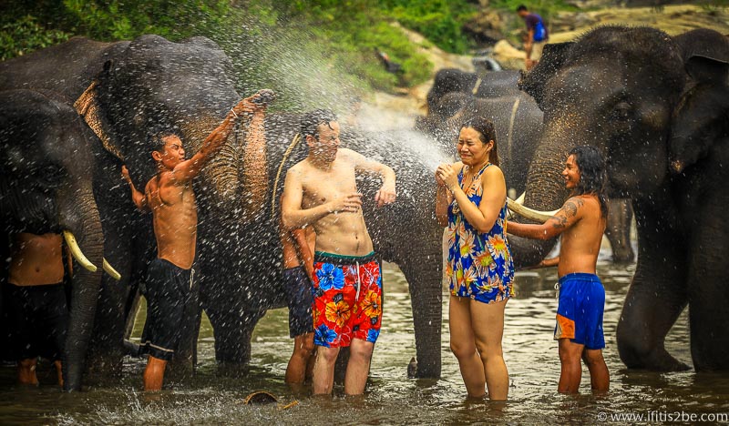 Elephant using its trunk as a water cannon against me