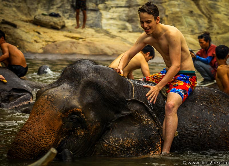 Taking a bath with elephants at Patara Elephant Farm outside Chiang Mai