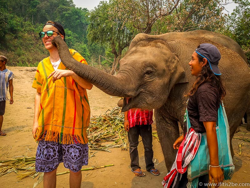 Me receiving a kiss from one of the younger elephants