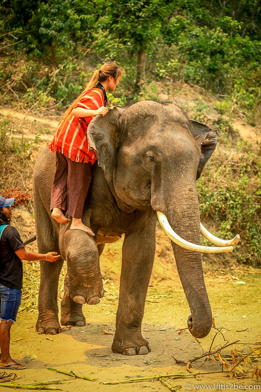 Elaine climbing on top of the elephant 