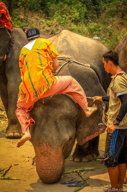 Me clumsily jumping on to the head of the elephant at Patara Elephant Farm