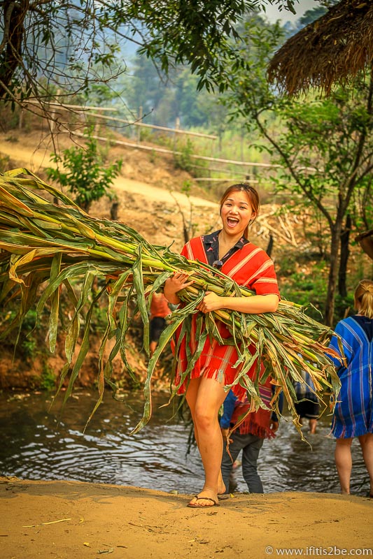 Elaine bringing some bushes for brushing (and food)