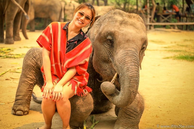 Sitting on the elephant lap while it looks like it is using the sugar can as a toothpick