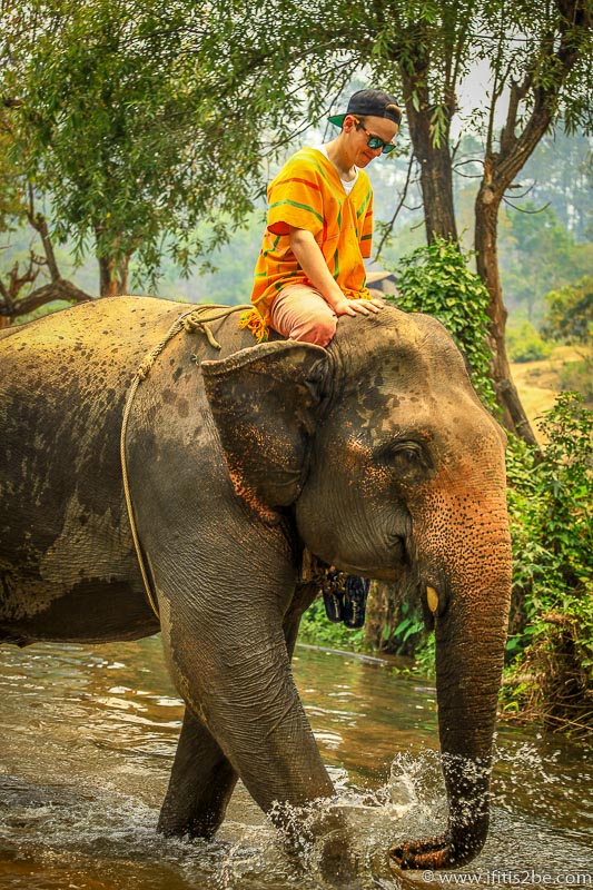 Riding the elephant through a shallow river