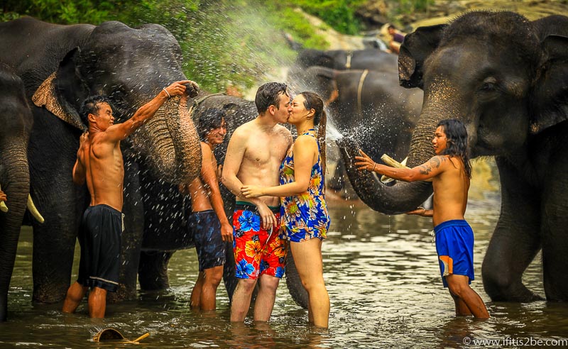 Kissing in front of the elephants - Patara Elephant Farm - Chiang Mai