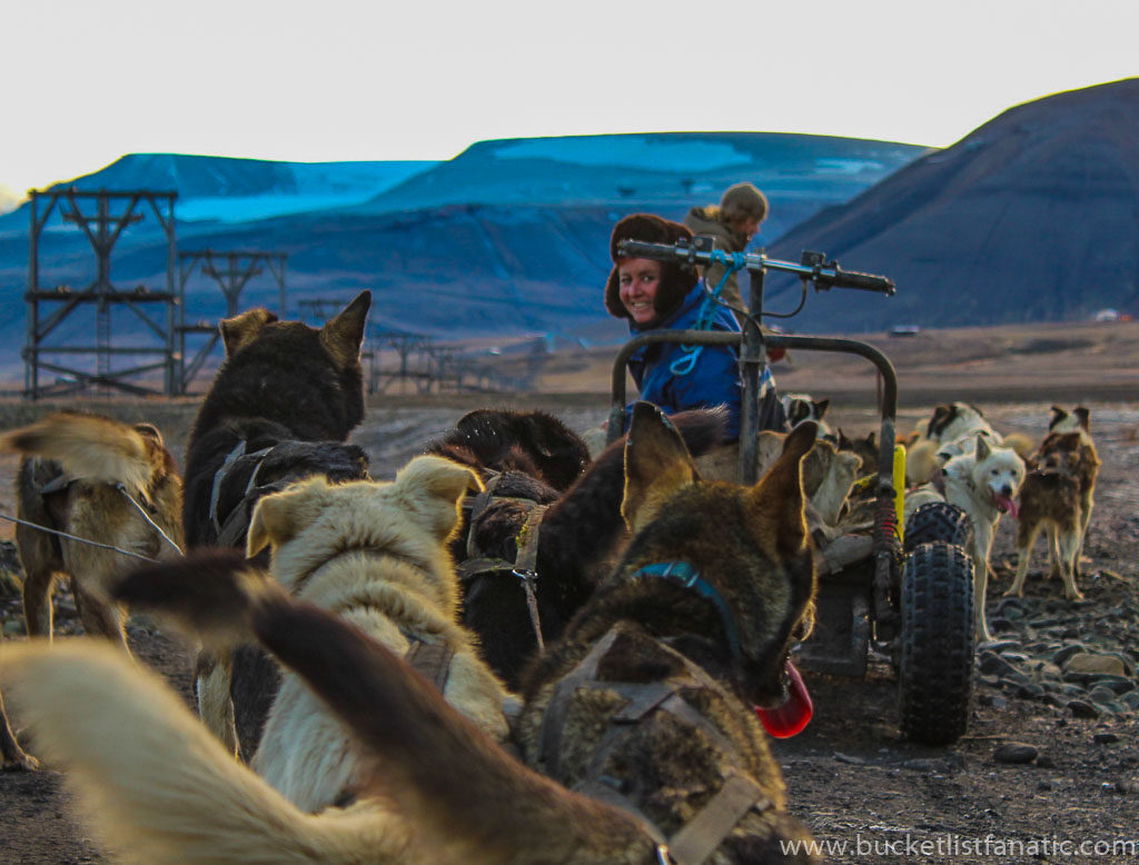 Husky Sledge - Svalbard Bucket List