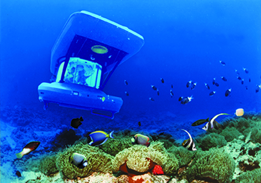 Underwater Submarine Lunch - Mauritius Bucket List 