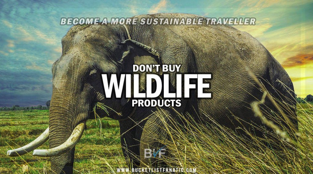 ecome a Sustainable Traveller - Don't Buy Wildlife Products